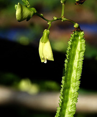 �����˿����� �ֹ���Ҳ��׬��Ǯ��