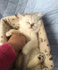 �������Ǳ�������ϲ����������ˣ�˭������