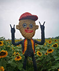 ��������տ����ڿ����ˡ�