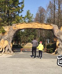 ��Ů���ı�Ӱ