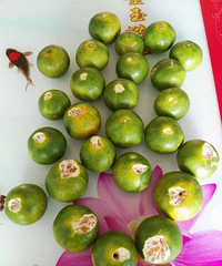 �ϱ����ز�