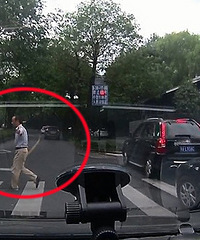 ��������������  �����˸���