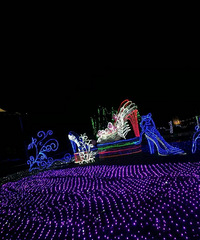 ÷���޵ƹ��