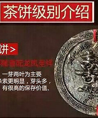 ����Ͳ�� ��Ҿ������