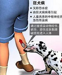 ��������Ů�������������������١���ʧ��...�������ֲ���������