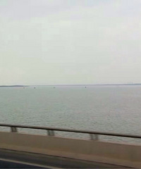 ����ɹͼ����