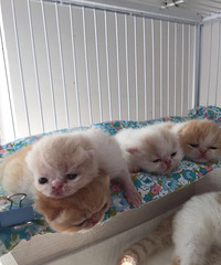 ������Ҫ����ȥ��