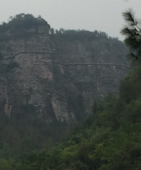 ���Լ�̫�����²������Ρ������������� �����ž�Ȼ��ֹͣ��Ʊ