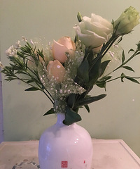 ɹ����Ӯ����ȯ�ǰͿ�ȯ