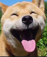 ���ߴ��һ������Ҫ���� ��Ҫȥ�ѡ��ȷ���԰�塱��ǧ��Ҫ��