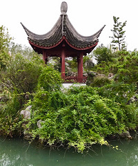 ������԰