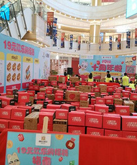 ��19¥ʮ���꡿���տ���