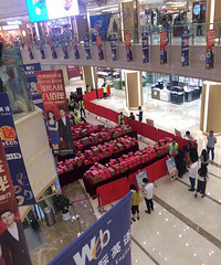 ף����19¥���տ��֣�