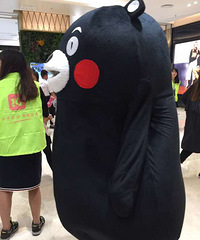 19¥ʮ�������տ��֡�