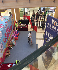 ף19¥���տ���