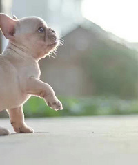 �磬��ů�����⣬����