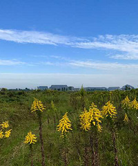 ���� ��ҵ�