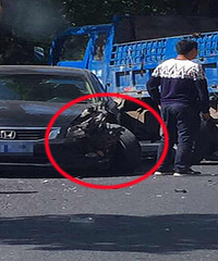 С�ģ��Ÿ����ϴ�  ��̥������