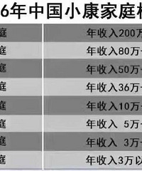 2016���й�С����ͥ��׼��������ų�������