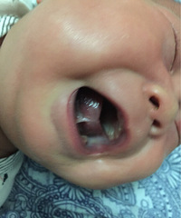 �����ơ�������Ӥ������ÿ�ο��֣�����