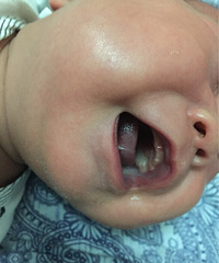 �����ơ�������Ӥ������ÿ�ο��֣�����