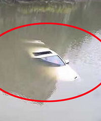 ����������� �����������㹽��