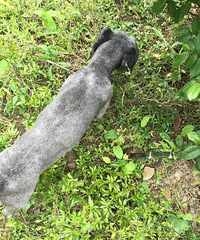 ���ţ��޹�����һ�Ѵ�Ѫ�ĵ�������������ͱ ���Ӷ������ˣ�