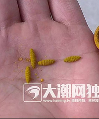 �������ֶ�ҩ�������������������������˻�8800Ԫ����ҩ��