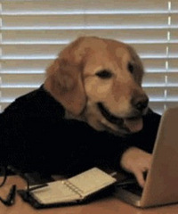 ��˵˵����������Щ����ÿ��8Сʱ����˫�ݻ����üӰࣿ