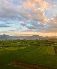 ������;