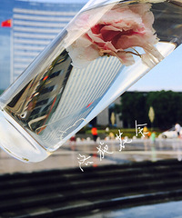 ������Ķ�����