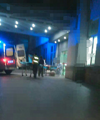 �ң��賿����һ������֫ȫ�ϣ��沿���߹Ƕദ�������ڼ��ſ�