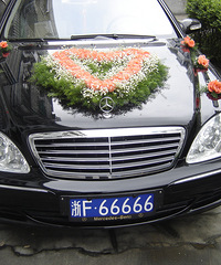 �����ϸ���F�ĳ��ƶ���Ǯ�ˣ�