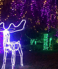 ����÷���� ����ط��ƹ���Ҳ��ը�ˣ�����ѣ�