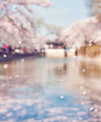 �����£��ΰ׷��� �����ߺ��Ҳ�֪������