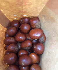 �����԰��� �ճ�¯�İ�������.....