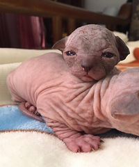 �����ˣ��ǵñ�ů��