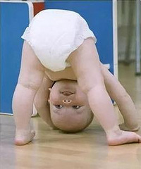 ����֧�У���������ֽ��� ���ȸ����Ǻ���...