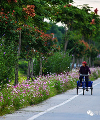 ����ʱ�� ��������ط���14����ׯ����Ӱ�ͷ�~��ĩ�ͻ�ȥ��~