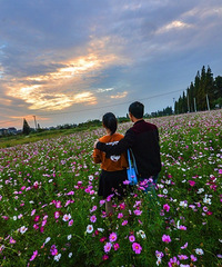 ����ʱ�� ��������ط���14����ׯ����Ӱ�ͷ�~��ĩ�ͻ�ȥ��~