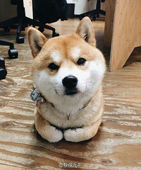 �����ֻ����ܸĹ�������