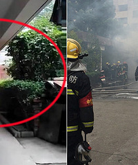 ��԰С��С�Ե��Ż� 4��ú���޻�������