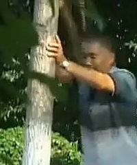 ƽ����ͷ���ݡ�SM����ע���ˣ���Щ��ΪŪ���÷���������Ϣ