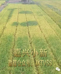 ����ͷ�����ε��ﾪ��һ�����ʡ���  ������Ҫ����յĽ���