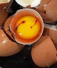 �򵰴����һ�š����走��  ���ƻ�ճ����Ѫ˿ �ܳ���