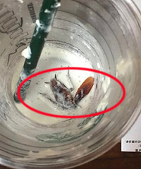 �ö��ģ��Ǳ�����ȳ�һ��ֻ���