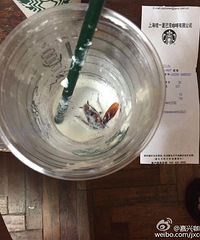 �������ǰͿ˵�����Ǳ�����ȳ�һ��ֻ���  �������㣡