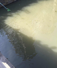 ɶ�������������С�������ӵ�ͻ�ֳ�Ƭ������