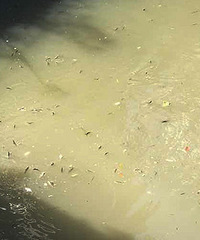 ɶ���������С�������ӵ���Ƭ������