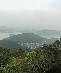 �ϱ���������